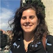 Hai bisogno di aiuto per i compiti delle vacanze o per studiare per gli esami di recupero? Contattami!